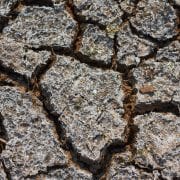 An image of a fibrous soil cake, displaying 'solid-like' behaviour.