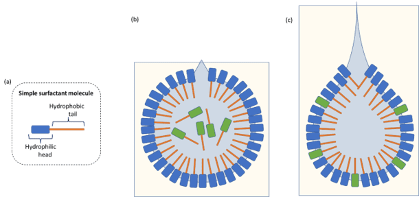 A schematic to show how the composition of the interface between the droplet and air/water changes as the droplet is pulsated.