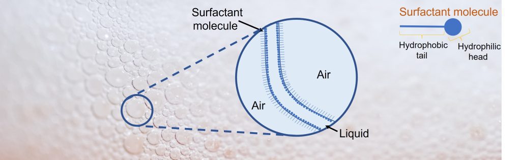 Image showing the interface betteen air and water in a foam